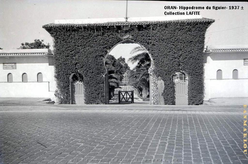 ORAN 1937 HYPPODROME DU FIGIER    (1).jpg